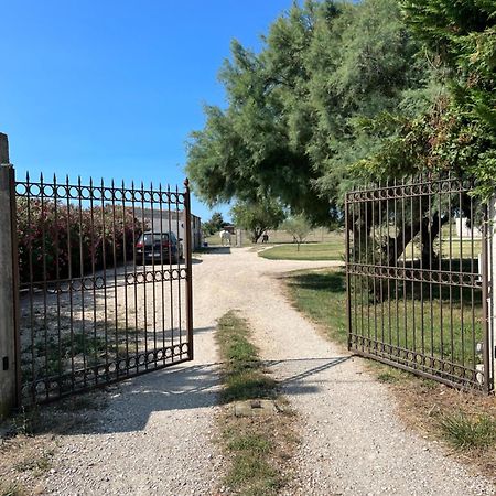 « La Parenthese » Gite En Camargue Arles Exteriör bild