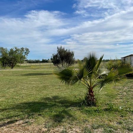« La Parenthese » Gite En Camargue Arles Exteriör bild