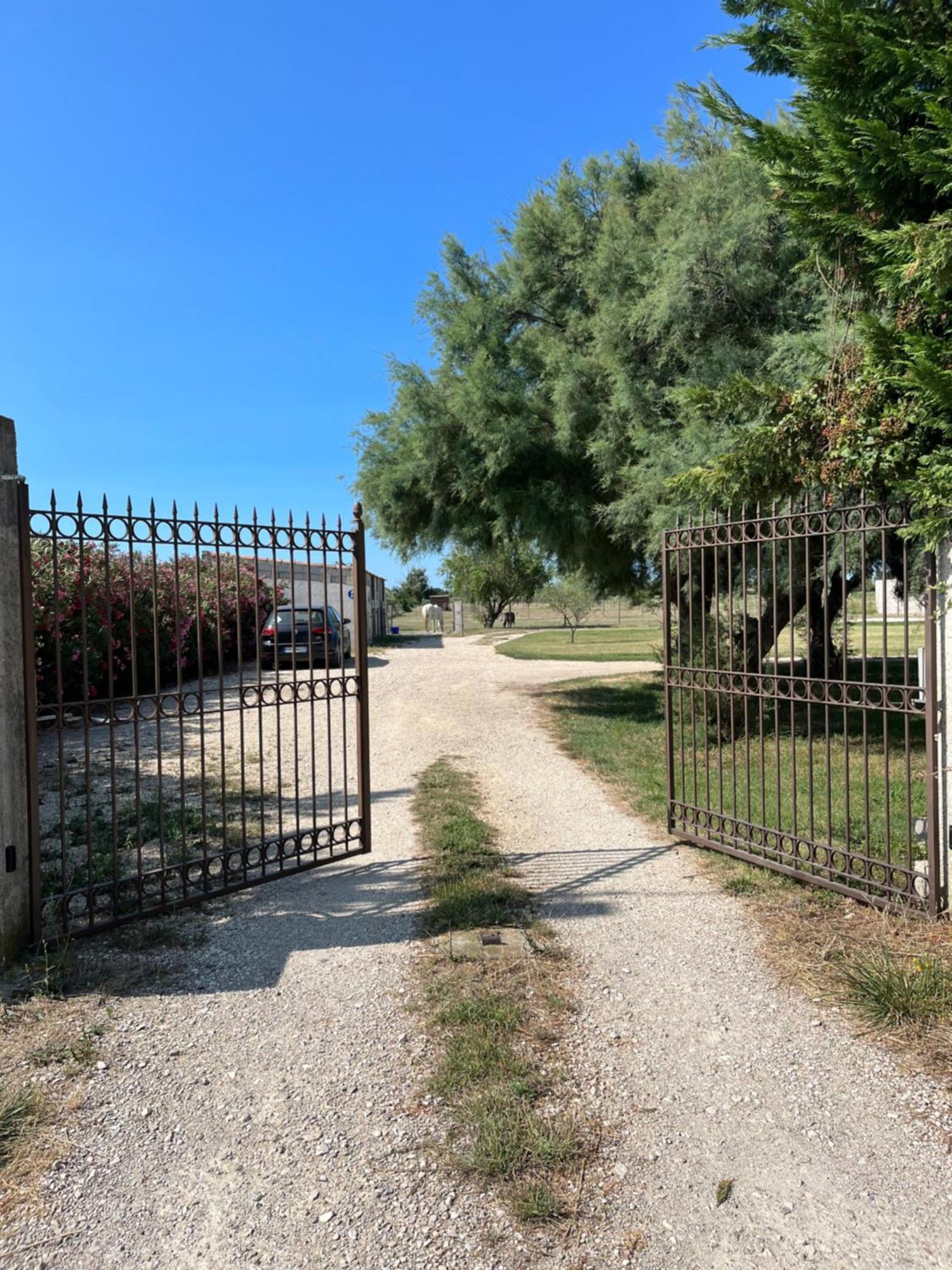 « La Parenthese » Gite En Camargue Arles Exteriör bild