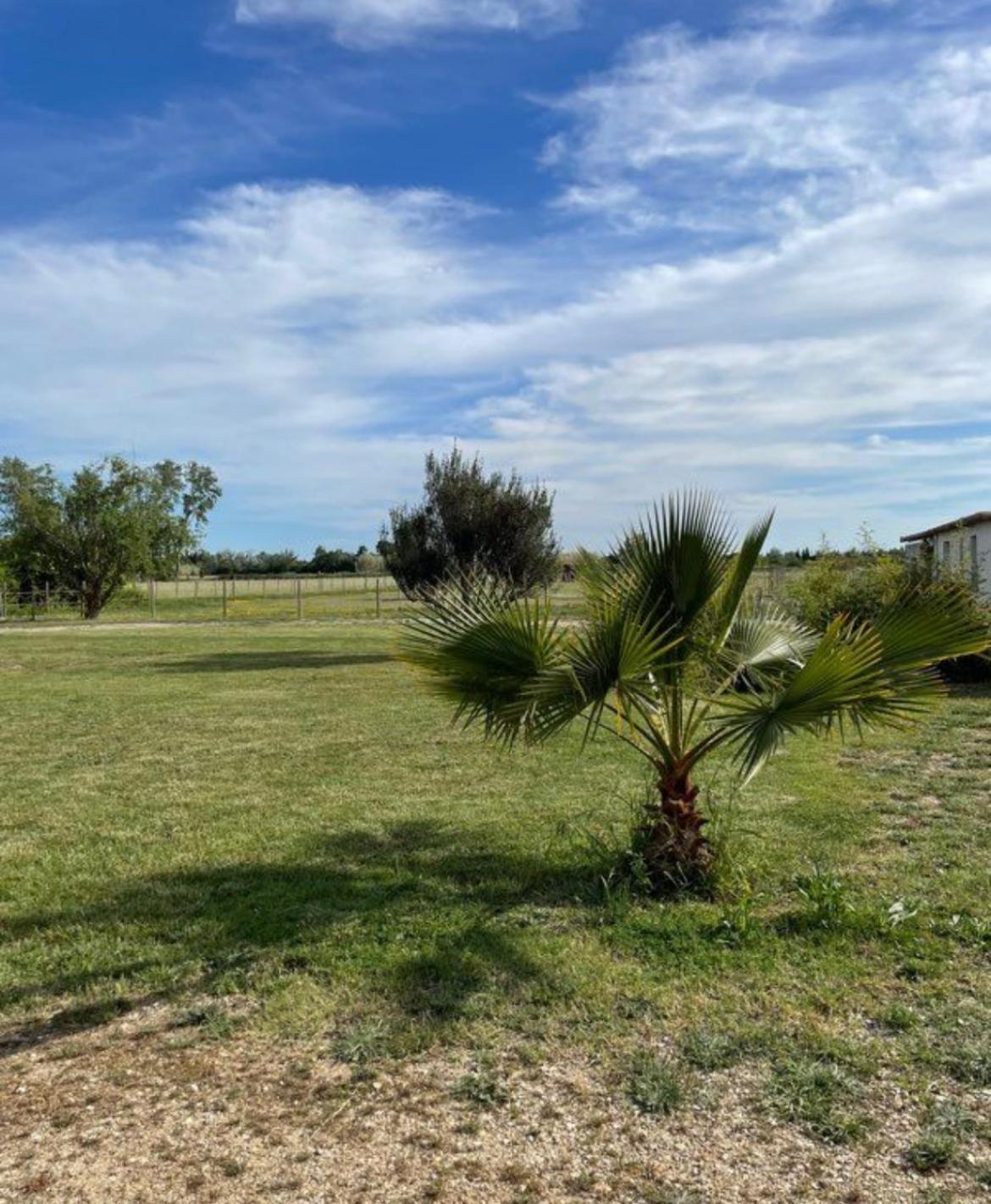 « La Parenthese » Gite En Camargue Arles Exteriör bild